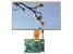 10.1" TFT+ Control Board Display